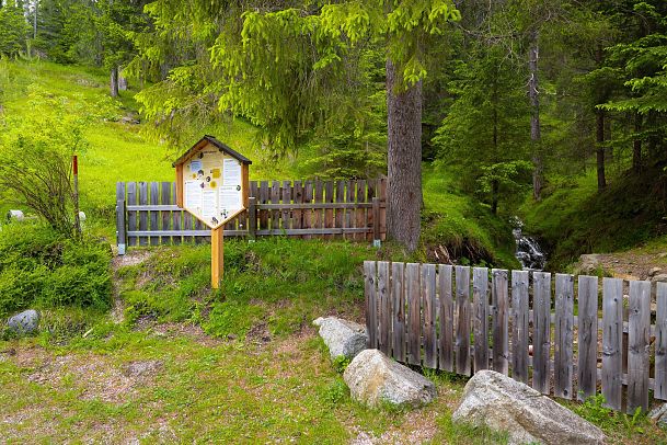 bienenlehrpfad-reith-infotafel-neben-kleinem-flusslauf-2-1