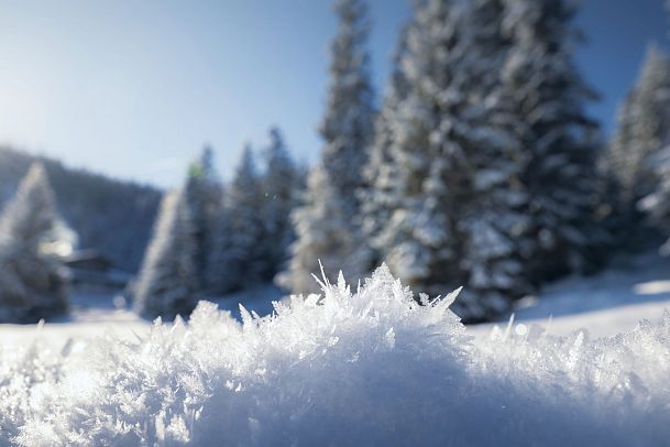 detailaufnahme-eisiger-schnee-im-wildmoos-1