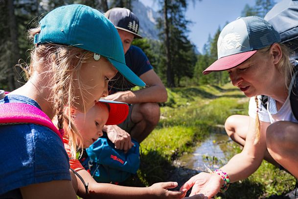 familien-weitwanderung-im-gaistal-nahaufnahme-familie-hat-einen-kleinem-frosch-in-der-wiese-entdeckt-1