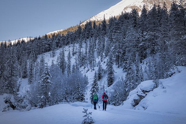 gaistal-natur-im-winter-winterwanderer-von-hinten-1