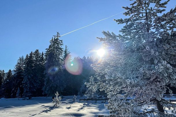 gefrorener-baum-im-wildmoos-stimmung-beim-sonnenaufgang-loipe-c2-1