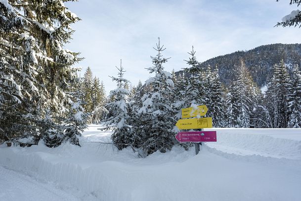 leutasch-winterwanderweg-15-katzenloch-2-1-1