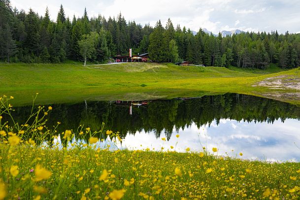 lottensee-im-fruehsommer-see-und-huette-mit-vielen-gelben-blumen-im-vordergrund-1