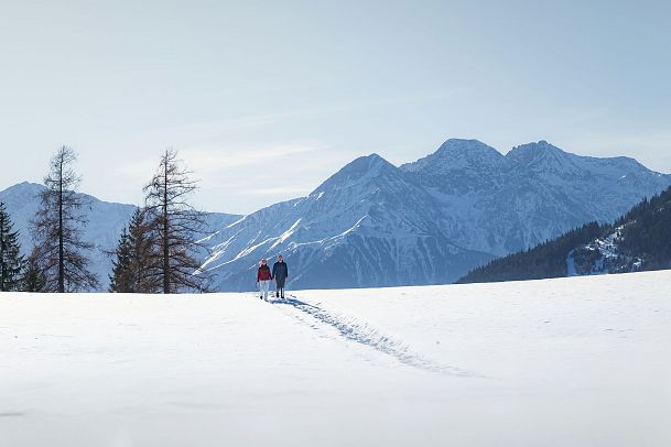 oberer-wiesenweg-im-fruehwinter-paar-laeuft-ueber-verschneites-feld-8