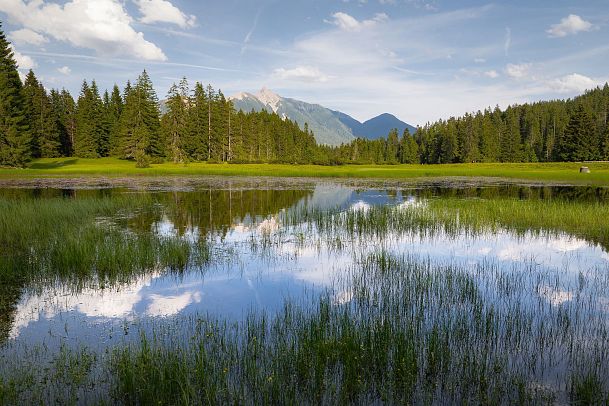 see-bei-wildmossalm-im-sommer-1