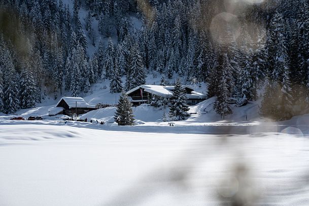 sound-of-seefeld-wildmoosalm-im-winter-echt-dynamisch-1-11