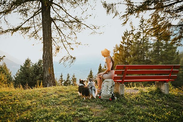 wandern-mit-hund-pause-auf-bank-edit-1-8