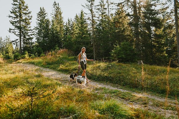 wandern-mit-hund-wandern-am-brunschkopf-edit-1-8