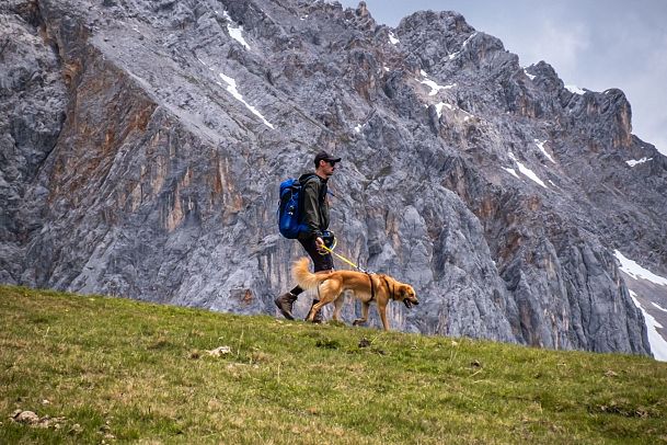 wanderung-mit-hund-im-wettersteingebirge-sommer-8