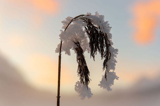 weitwandern-etappe-3-gras-mit-schnee-2-1