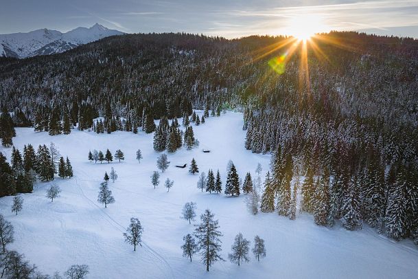 wildmoos-im-winter-drohnenaufnahme-blick-richtung-reither-spitze-mit-sonnenstern-baeumen-und-2-kleinen-huetten-1