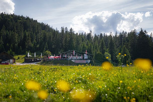 wildmoosalm-im-sommer-alm-mit-gruener-wiese-und-blumen-im-vordergrund-1