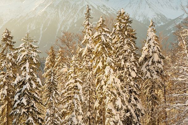 winterlandschaft-beim-weitwandern-6