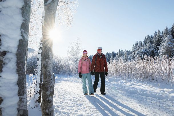 winterwandern-in-der-region-seefeld-wildsee-aufnahme-mit-sonnenstern-1