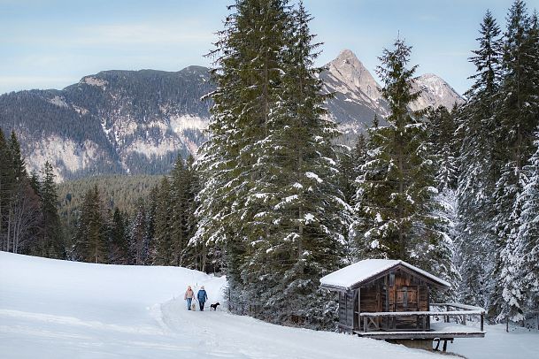 winterwandern-mit-hund-im-wildmoos-drohnenaufnahme-im-fludertal-mit-arnspitzen-im-hintergrund-8