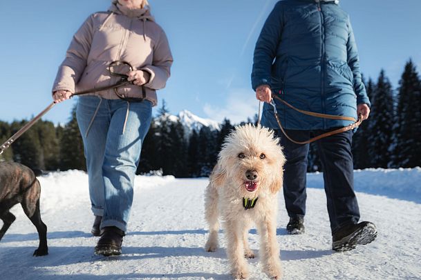 winterwandern-mit-hund-im-wildmoos-portrait-hund-mit-frauen-beim-laufen--8