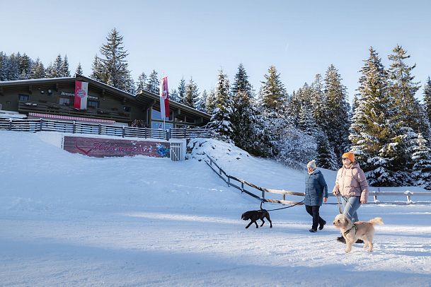 winterwandern-mit-hund-im-wildmoos-zwei-frauen-mit-hunden-laufen-bei-wildmoosalm-8