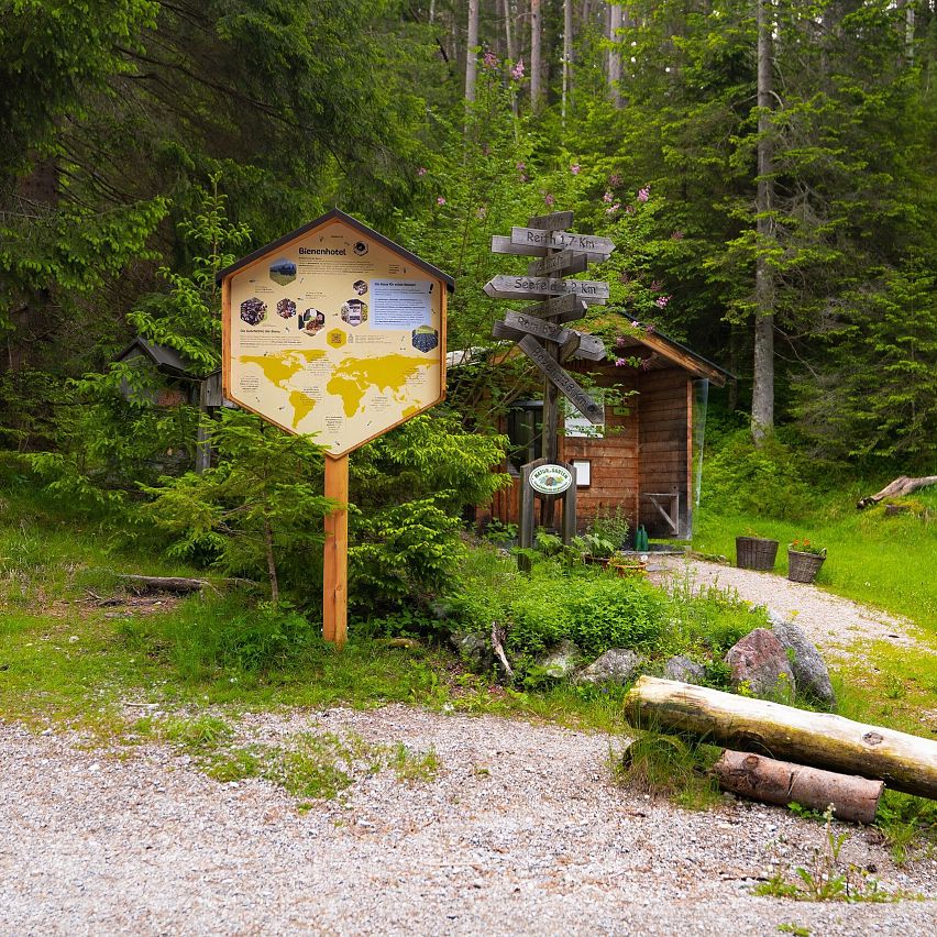 Bienenlehrpfad Reith und Friedensweg