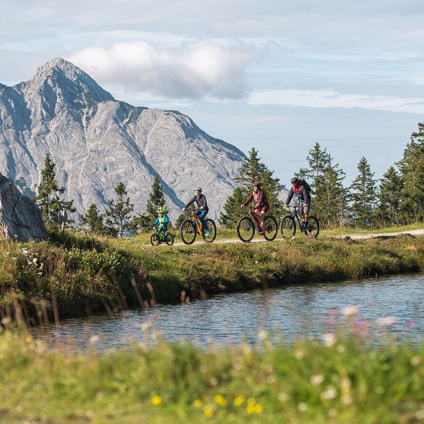 Kleine und große Biketouren – gemeinsam mit dem Rad durch die Region