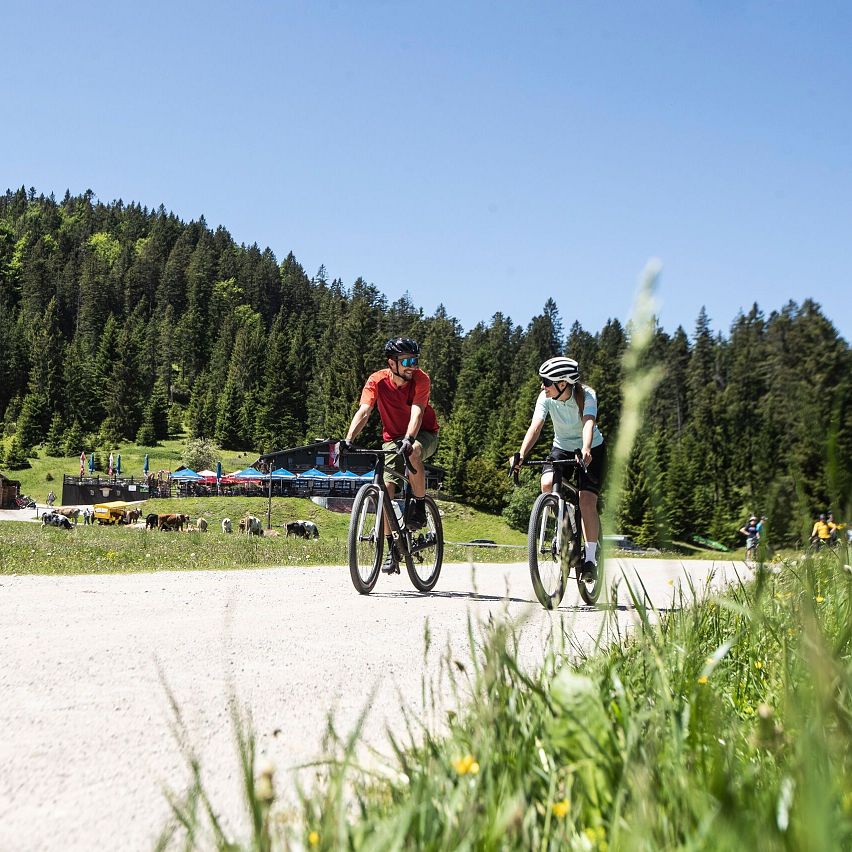 Explore the Best Bike Tours Around Wildmoos