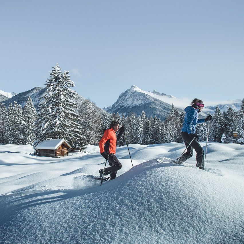 Snowshoe trails in idyllic winter landscape