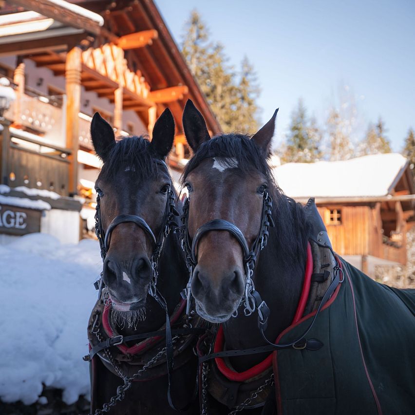 Romantische Kutschenfahrt in der Region Seefeld