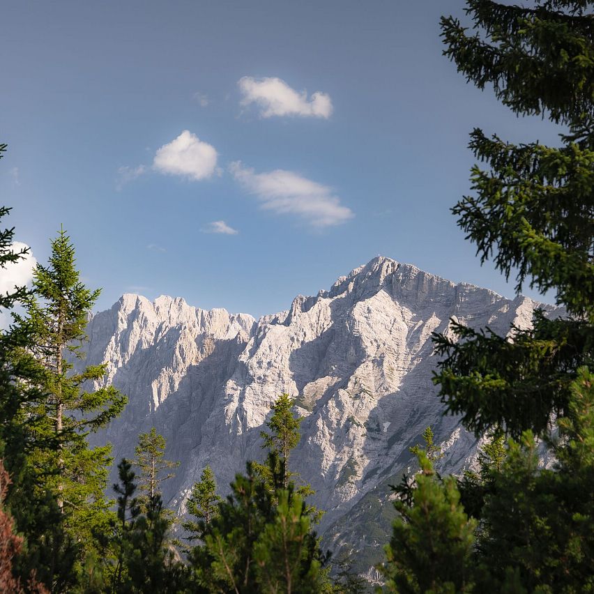 Wanderung zur Pleisenhütte_Blick auf Felswand durch Tannen