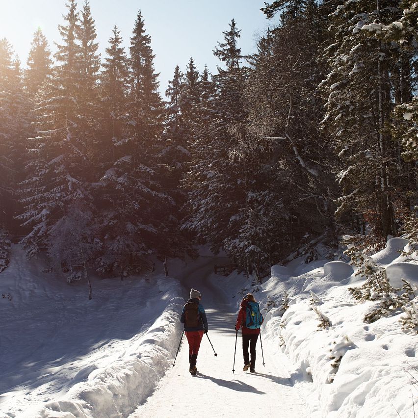 ein unvergessliches Winterabenteuer