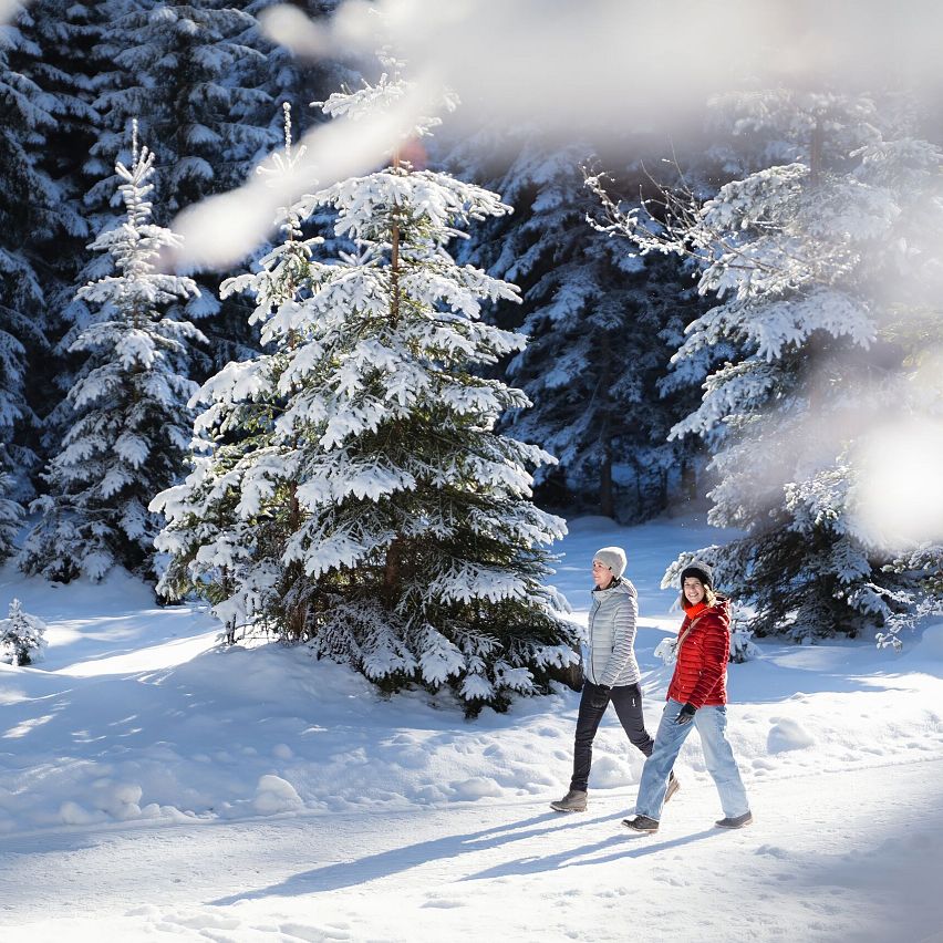 A Truly Idyllic Winter Hiking Paradise