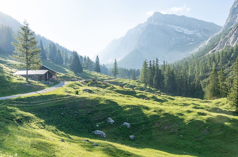 halleranger-im-sommer-scharnitz-3