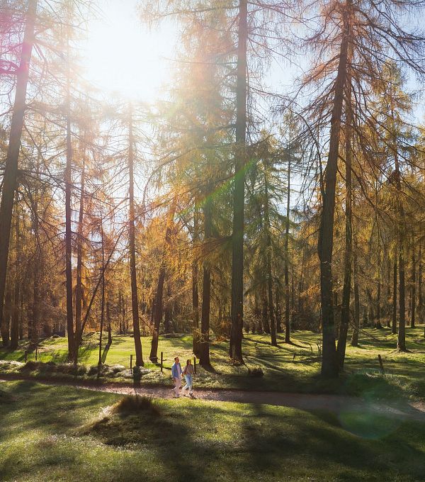 laerchenwald-in-reith-drohnenaufnahme-paar-laeuft-zur-den-wald-aufnahme-richtung-sonne-1-1