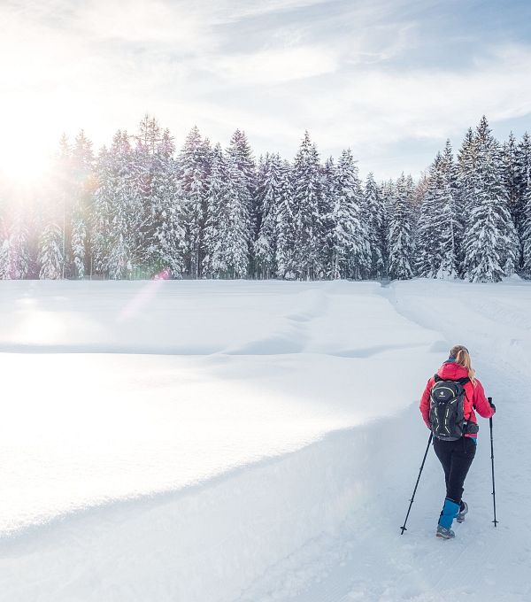 leutasch-winterwanderweg-18-muggenmoos-2