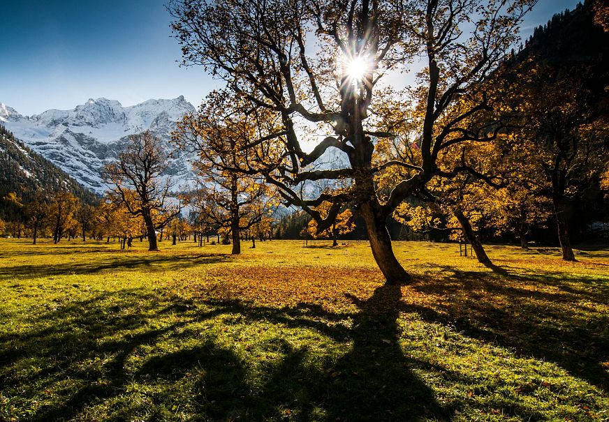 sub1-ahornboden-im-herbst-4