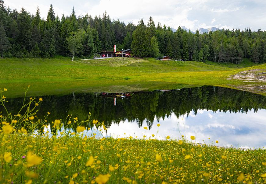 sub1-lottensee-im-fruehsommer-see-und-huette-mit-vielen-gelben-blumen-im-vordergrund