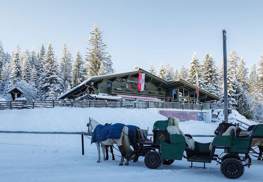 sub1-wildmoosalm-im-winter-mit-kutschen