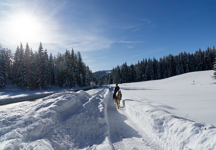 sub1-winterwanderweg-mit-pferd-neuleutasch