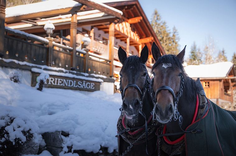 triendlsaege-im-winter-portrait-pferde-vor-dem-gebaeude