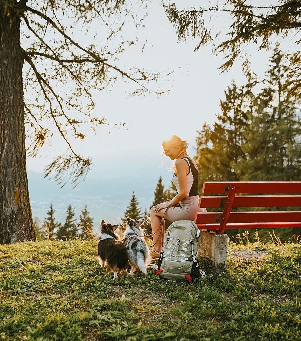 wandern-mit-hund-pause-auf-bank-edit-1-1