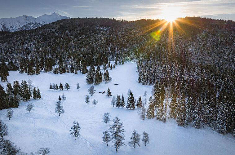 wildmoos-im-winter-drohnenaufnahme-blick-richtung-reither-spitze-mit-sonnenstern-baeumen-und-2-kleinen-huetten-1