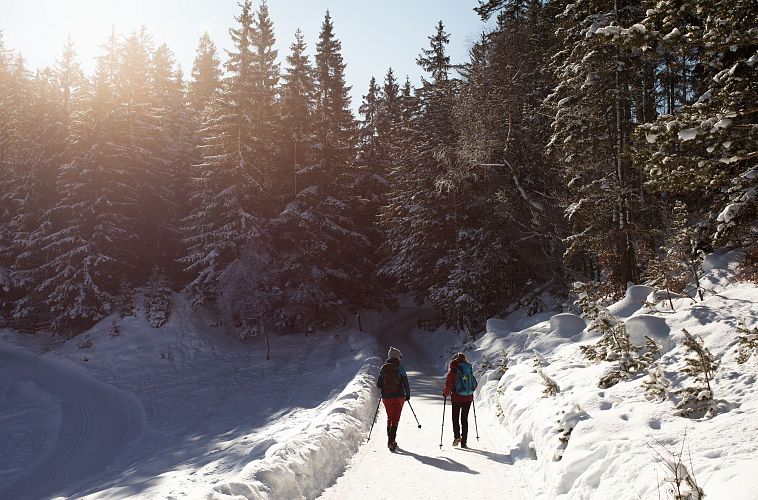 winterwandern-am-wildmoos-plateau