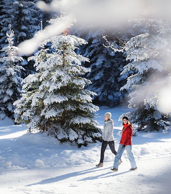 winterwandern-im-wildmoos-zwei-frauen-laufen-im-wald-verschneite-aeste-im-vordergrund-1