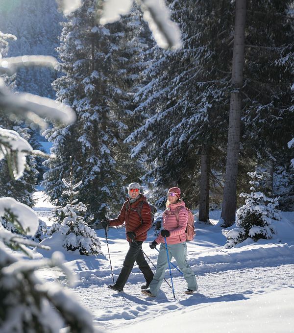 winterwandern-in-der-region-seefeld-mann-und-frau-laufen-wandern-im-wildmoos-aufnahme-mit-verschneiten-aesten-im-vordergurnd-1