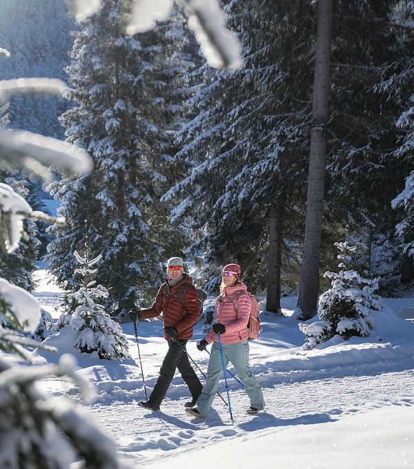 winterwandern-in-der-region-seefeld-mann-und-frau-laufen-wandern-im-wildmoos-aufnahme-mit-verschneiten-aesten-im-vordergurnd-3