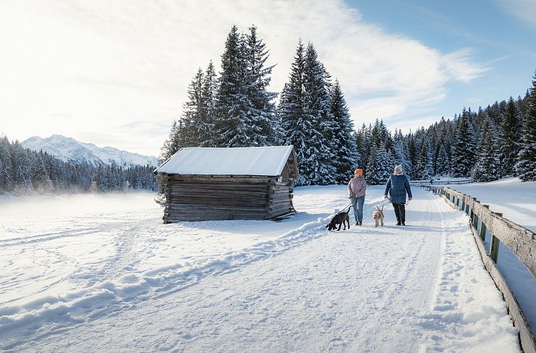 winterwandern-mit-hund-im-wildmoos-zwei-frauen-mit-hunden-laufen-auf-wanderweg-bei-der-ferienheim-lichtung-neben-stadl-1