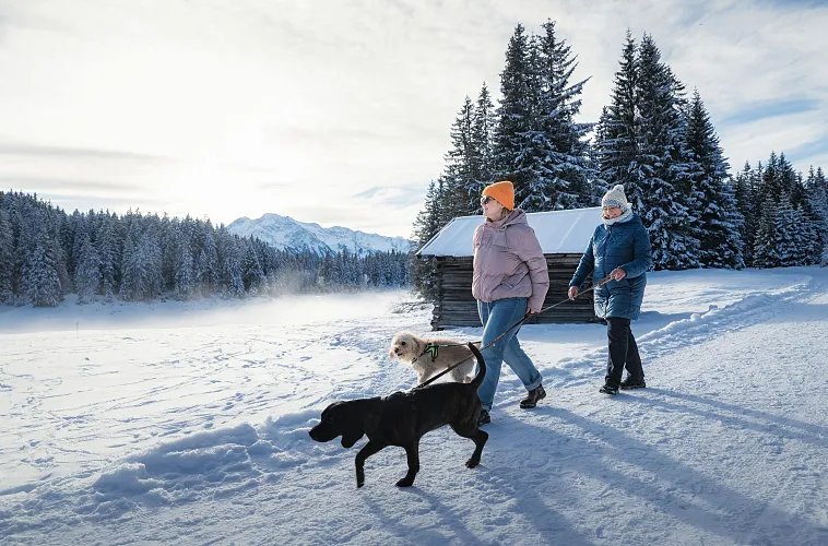 winterwandern-mit-hund-im-wildmoos-zwei-frauen-mit-hunden-laufen-auf-wanderweg-bei-der-ferienheim-lichtung-vor-stadl-1-2