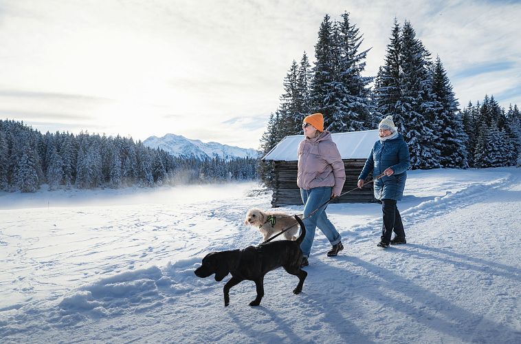 winterwandern-mit-hund-im-wildmoos-zwei-frauen-mit-hunden-laufen-auf-wanderweg-bei-der-ferienheim-lichtung-vor-stadl-1