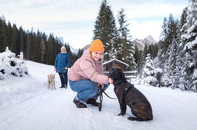 winterwandern-mit-hund-im-wildmoos-zwei-frauen-mit-hunden-laufen-im-fludertal-frau-streichelt-hund-kleine-holzhuette-im-hintergrund-1-1