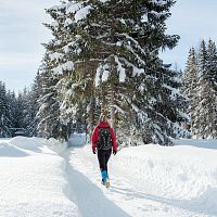 leutasch-winterwanderweg-15-katzenloch-4-2