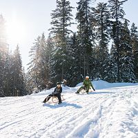 rodeln-in-der-region-seefeld-vater-mit-sohn-abfahrt-1