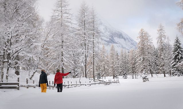 winterwandern-paar-oberer-wiesenweg-mann-zeigt-auf-etwas-hohe-munde-im-neben-im-hintergrund